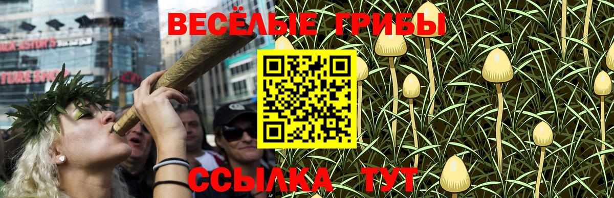 Арзамас  Галлюциногенные грибы GOLDEN TEACHER  Вход с VPN 